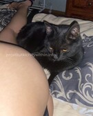 Анкета проститутки Диана - метро Южное Бутово, возраст - 25